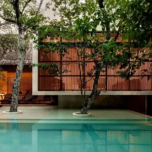 Jungle Keva & Venue , Tulum Mexico